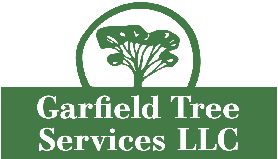 Garfield Tree Services LLC offers services of Tree trimming, Monthly yard cleaning, Tree removal, Palm tree pruning and removal , Residential and commercial services provided in Phoenix, AZ, Glendale, AZ, Mesa, AZ, Tempe, AZ, Scottsdale, AZ - Tree trimming"
